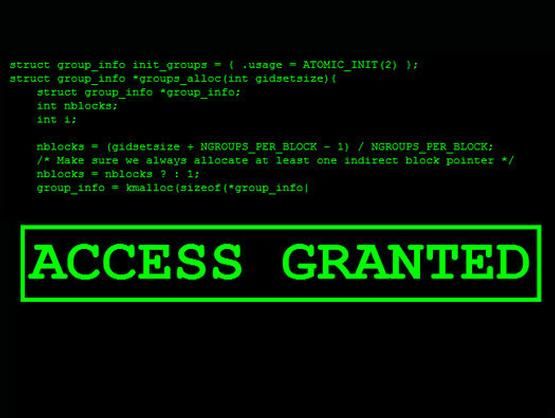 hacker-access-granted