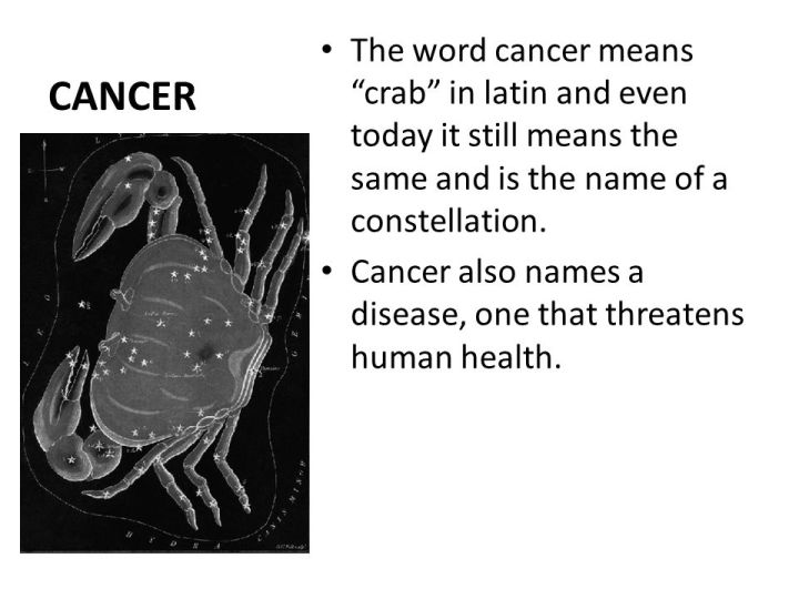 the-meaning-of-the-word-cancer